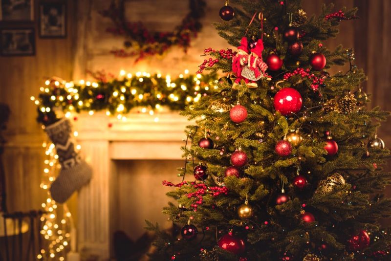 removing Christmas tree pests