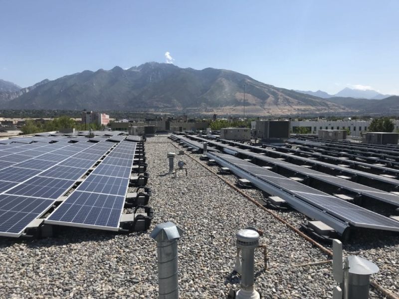 Bird Control Solar Panel