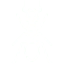 ant