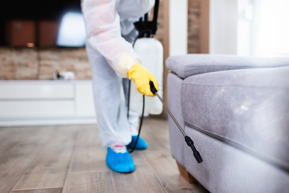 RESIDENTIAL EXTERMINATORS IN WEST JORDAN UT​