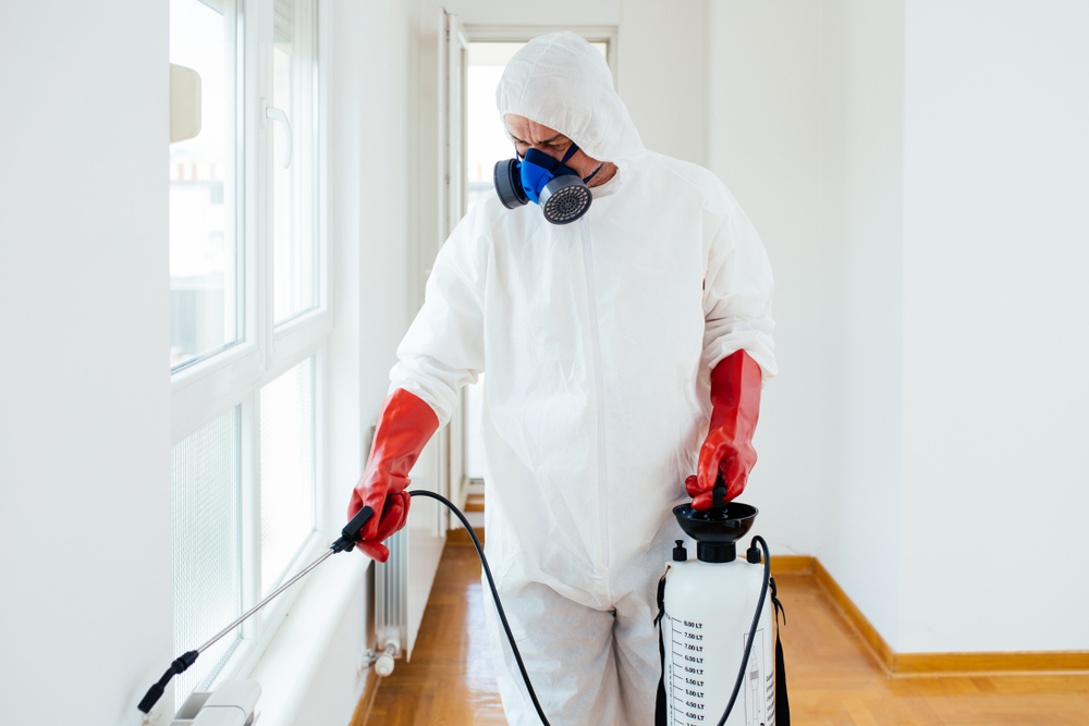 Sandy Residential Exterminators & Pest Control Experts