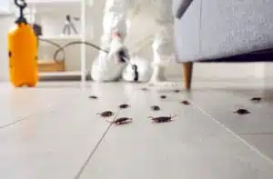Remedying Cockroaches